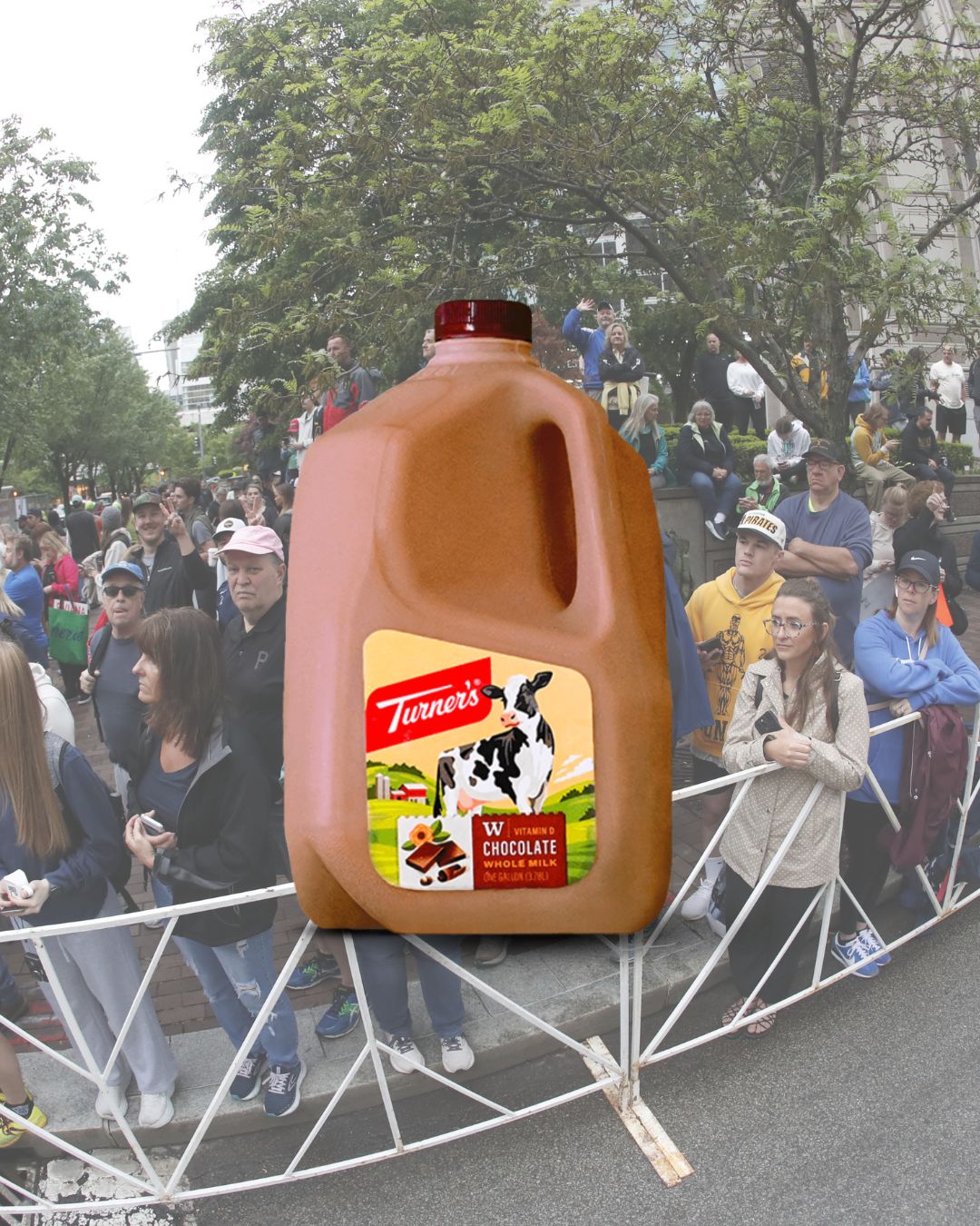 Image of Turner's Chocolate Milk