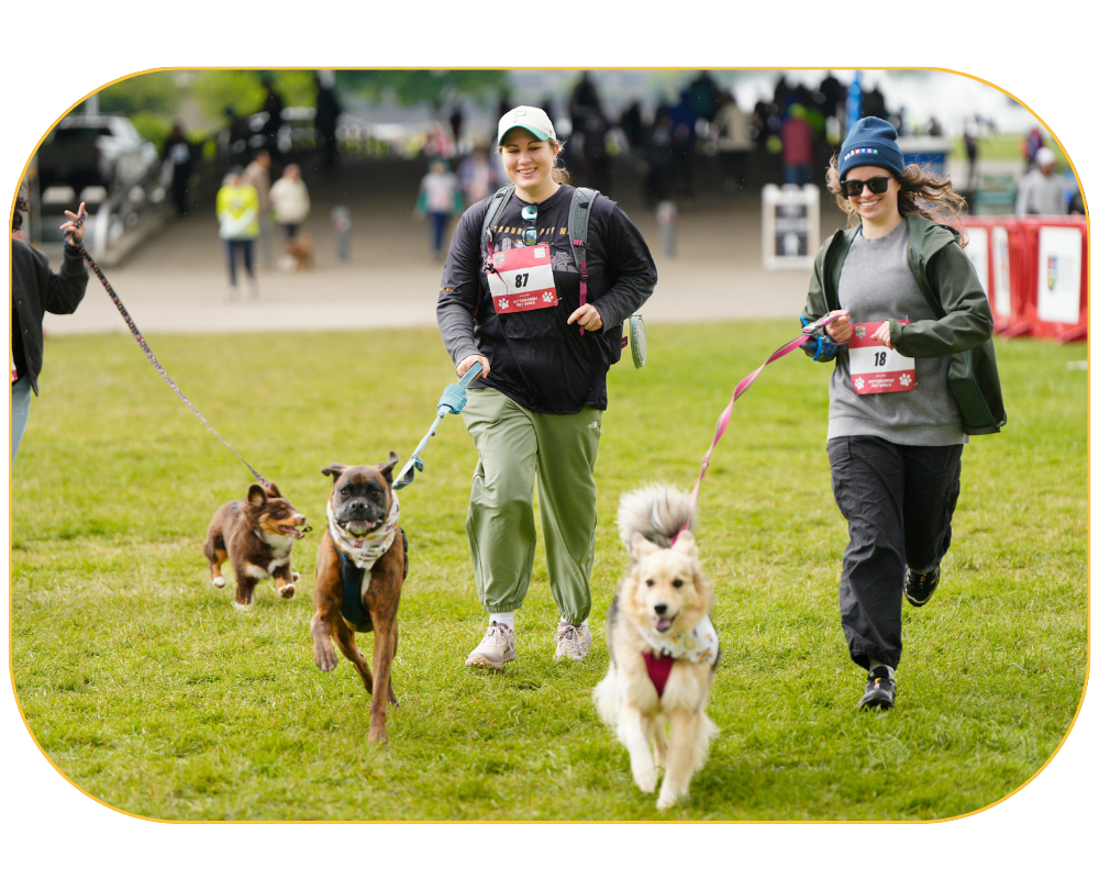 Two women walking their dogs in the one-mile Pet Walk as part of the DICK'S Sporting Goods Pittsburgh Marathon